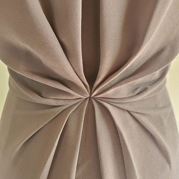 Naked Zebra Medium Gray Dress - Picture 5 of 7